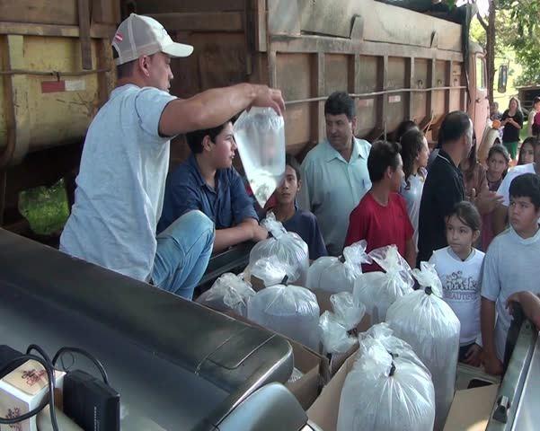 SOS: Rio Areado recebe 11 mil peixes com espécies que já estavam extintas