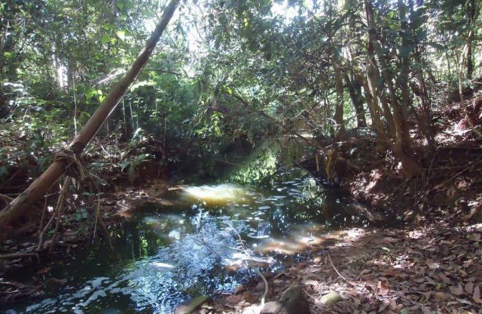 Esgoto a céu aberto no Parque Municipal do Mocambo tem revoltado moradores e usuários do local