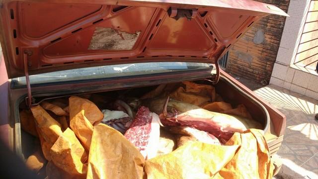 Carne suína transportada de forma irregular em porta malas de veículo é apreendida em Presidente Olegário