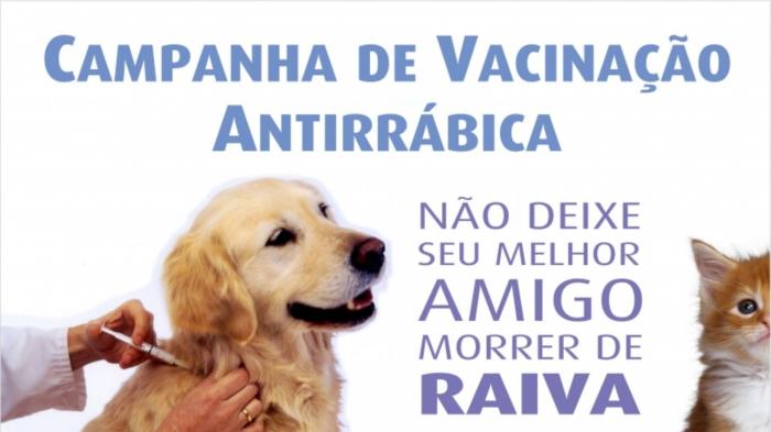 Prefeitura de Patos de Minas inicia Campanha de Vacinação Antirrábica na área urbana no mês de agosto