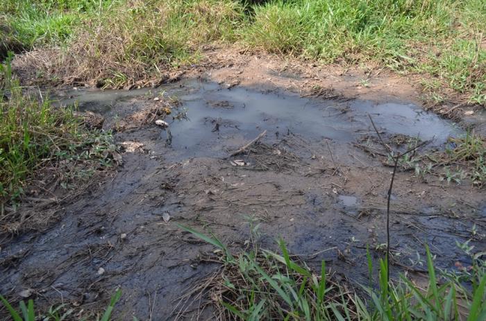 Após reclamação de esgoto a céu aberto em Lagoa Formosa diretora do SAAE verifica pessoalmente a situação