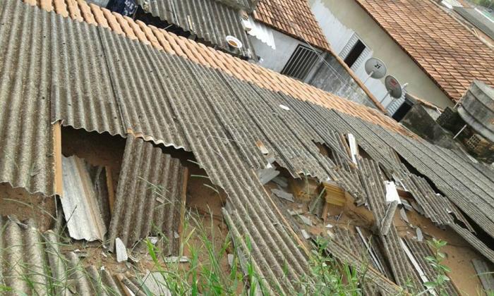 Em Patos de  Minas um bezerro conseguiu de forma inusitada subir em telhado de residência