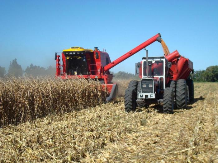 Agricultores de Minas Gerais já aplicaram R$ 2,1 bilhões de crédito nesta safra