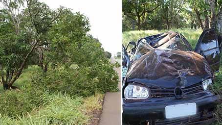 Parte da Mangueira na BR 354 que foi atingida durante colisão em alta velocidade por condutor de Lagoa Formosa não resiste e cai