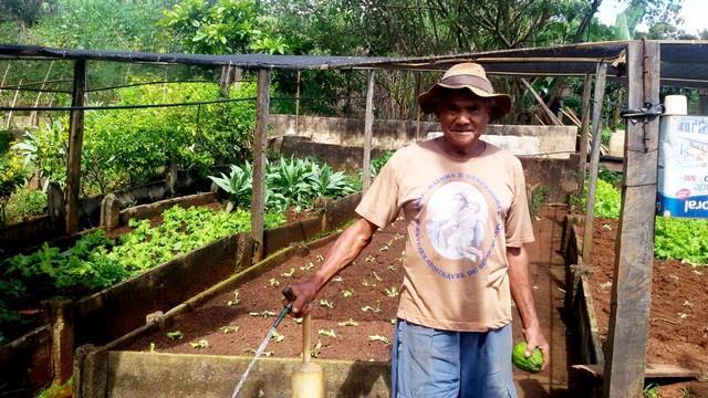 Aposentado cultiva verduras irrigadas aproveitando nascente d’água na cidade de Presidente Olegário