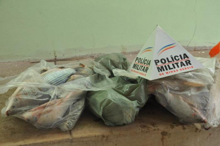 Peixes apreendidos são doados para instituições de caridade em Presidente Olegário