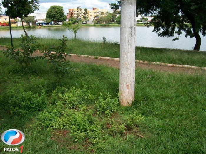 População de Patos de Minas esta indignada com o abandono da Lagoa Grande cartão postal da cidade