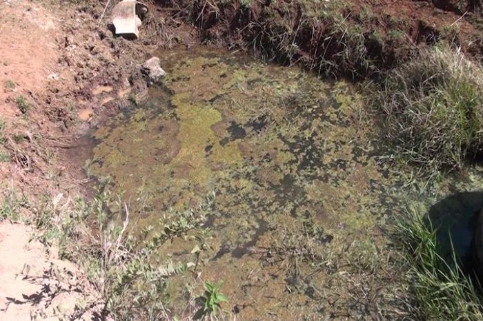 Grande quantidade de peixes morrem em decorrência da poluição no Rio Paranaíba em Patos de Minas