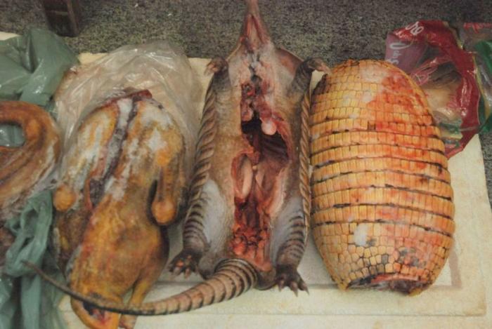 Polícia Rodoviária Estadual apreende aproximadamente 50 quilos de carnes de animais silvestres próximo a Presidente Olegário