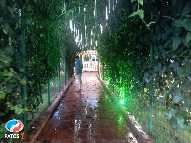 clique para ampliar Indivíduo com tornozeleira eletrônica furta dezenas de metros de fios de cobre da iluminação de Natal de Lagoa Formosa