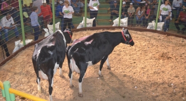 Sétima edição do Leilão só as Top volta fazer grande sucesso em Lagoa Formosa