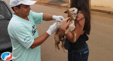 Campanha de vacinação contra raiva em cães e gatos acontece até o dia 13 de agosto em Lagoa Formosa