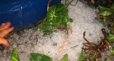 Tempestade com vendaval e granizo causa estragos em Carmo do Paranaíba