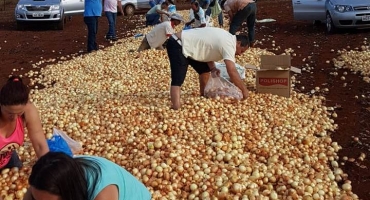 Empresário de Lagoa Formosa abandona toneladas de cebola ás margens de estrada devido ao baixo preço do produto