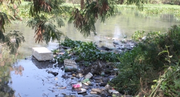 Segundo ambientalista poluição contribui para proliferação de aguapés no Rio Paranaíba em Patos de Minas