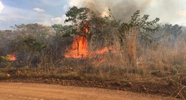 Queimada devasta reserva ambiental no município de Presidente Olegário