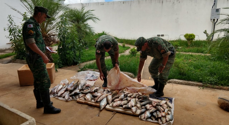 PM realiza apreensão de aproximadamente 100 quilos de peixes oriundos do Rio da Prata