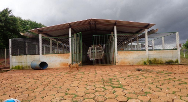 Prefeitura de Lagoa Formosa explica sobre situação atual do Canil Municipal Prefeitura de Lagoa Formosa explica sobre situação atual do Canil Municipal