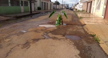 Moradores do Bairro Amazonas em Carmo do Paranaíba plantam bananeira em rua cheia de buracos