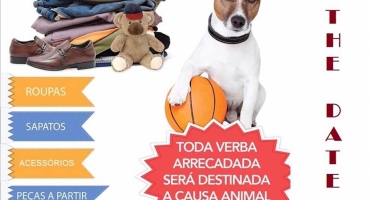 Grupo de voluntários realiza bazar em prol dos animais de rua de Lagoa Formosa