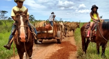 Produtores rurais do município de Patos de Minas consertam estradas com auxílio de carros de bois