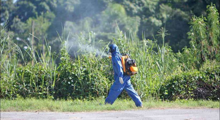 Minas Gerais registra 247 mil casos de dengue e estado deve R$ 4,8 bilhões para saúde nos municípios