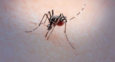 Cidade de São Gotardo confirma primeira morte por Dengue no município Cidade de São Gotardo confirma primeira morte por Dengue no município