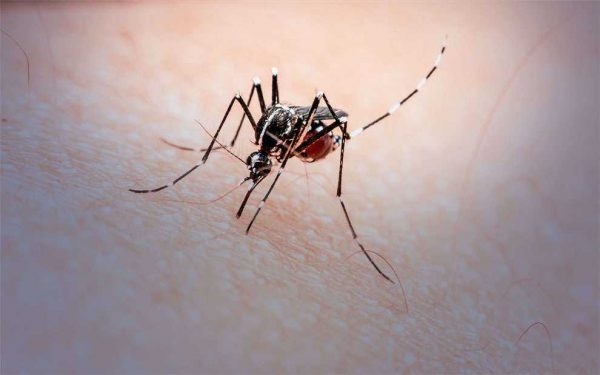 Cidade de São Gotardo confirma primeira morte por Dengue no município