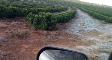 Cidades do Alto Paranaíba registram menores temperaturas do ano e alguns pontos tem geada