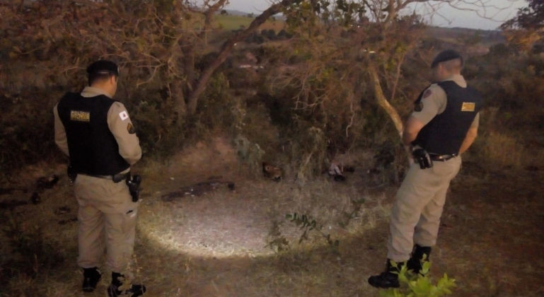  Indivíduos descartam carcaças de animais em terreno particular e proprietário aciona a Polícia Militar