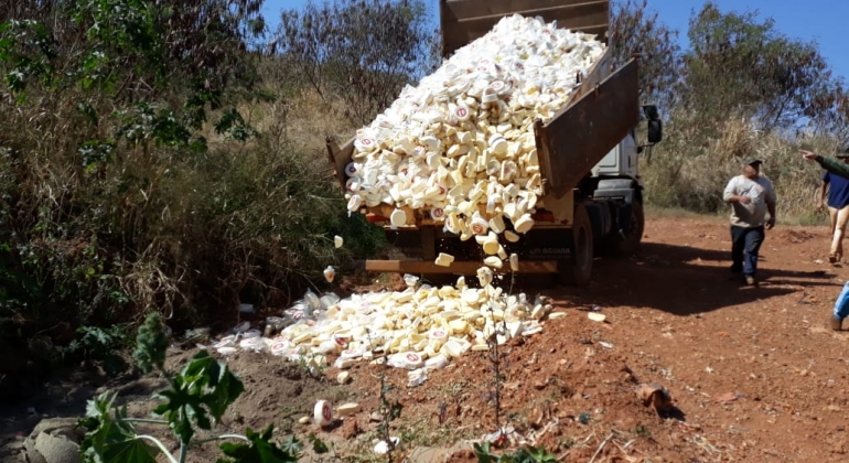 8 mil quilos de queijo com selos e rótulos falsificados são apreendidos e destruídos em Carmo do Paranaíba