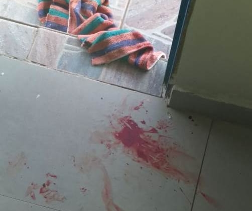 Filho de 8 anos realiza disparo acidental e mata a própria mãe na zona rural de São Gotardo Filho de 8 anos realiza disparo acidental e mata a própria mãe na zona rural de São Gotardo