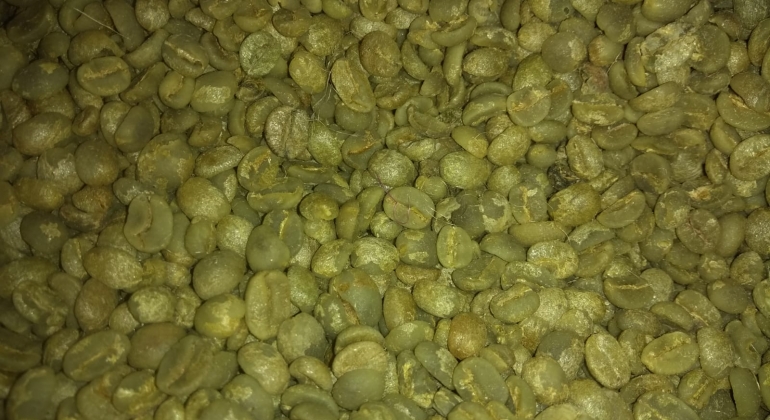 Novamente café: suspeitos de cometer furto de sacos de café em Carmo do Paranaíba são presos Novamente café: suspeitos de cometer furto de sacos de café em Carmo do Paranaíba são presos