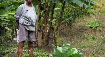 Campo está mais feminino e mais velho, diz IBGE