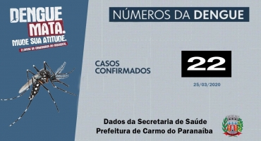 Carmo do Paranaíba está com 22 casos de dengue confirmados em 2020