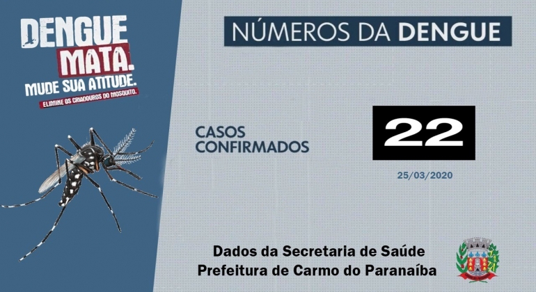 Carmo do Paranaíba está com 22 casos de dengue confirmados em 2020