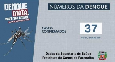 Carmo do Paranaíba está com 37 casos confirmados de dengue 