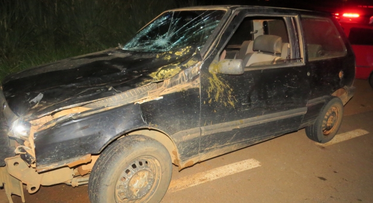 Motorista com sintomas de embriaguez atropela vaca na LMG-743 no município de Carmo do Paranaíba 