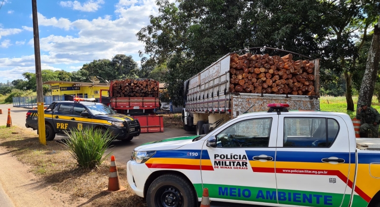 PRF de Patos de Minas aborda caminhões transportando madeira nativa sem comprovação de origem