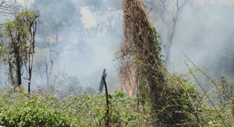 Mata do Catingueiro novamente é atingida por incêndio criminoso e Corpo de Bombeiros combate as chamas