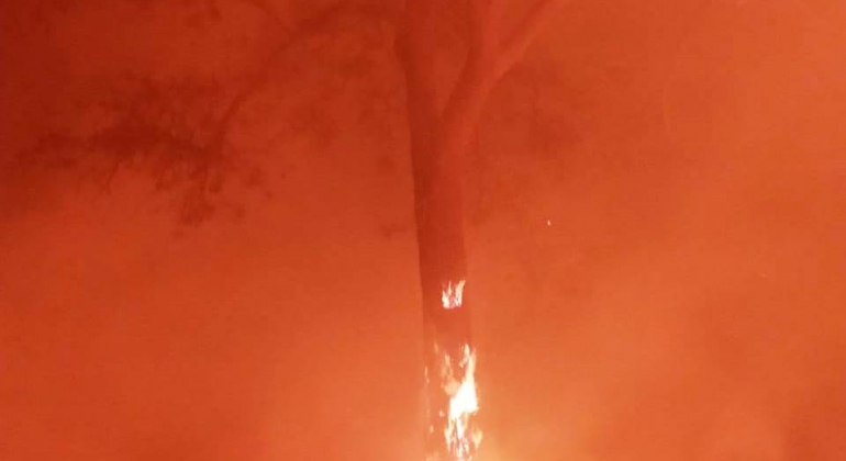 Incêndio atinge pastagem e lavouras de milho e sorgo em Patos de Minas