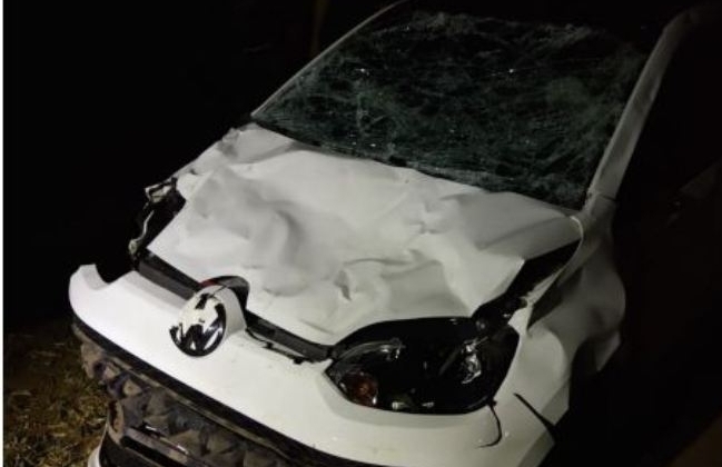 Motorista atropela animal na BR-354  próximo a Patos de Minas e proprietário de bovino vai parar na delegacia