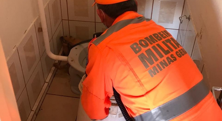 Bombeiros capturam tamanduá mirim dentro de banheiro de casa no Bairro Planalto Bombeiros capturam tamanduá mirim dentro de banheiro de casa no Bairro Planalto