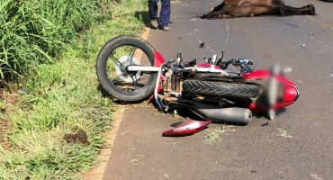 Motociclista colide contra animal na Avenida Afonso Queiroz em Patos de Minas 