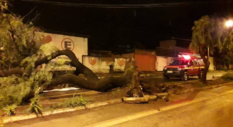 Temporal com rajadas de ventos derruba árvore e danifica rede telefônica em Patos de Minas