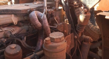  Corpo de Bombeiros captura cobra escondida em motor de caminhão