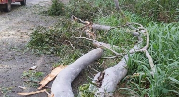 Chuva forte deixa galhos de árvores pendurados na MGC 354