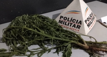 Polícia Militar encaminha para delegacia casal e adolescente suspeitos de tráfico na cidade de Patos de Minas