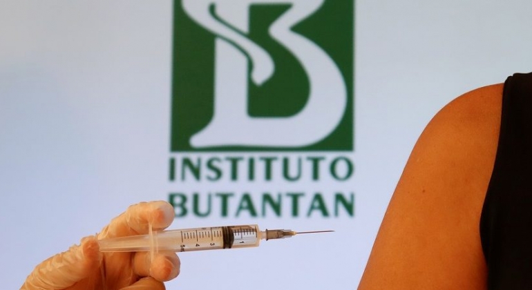 Instituto Butantan paralisa produção de vacinas por falta de insumos  