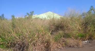 Moradores de Lagoa Formosa reclamam de sujeira em lotes vagos e terrenos baldios 